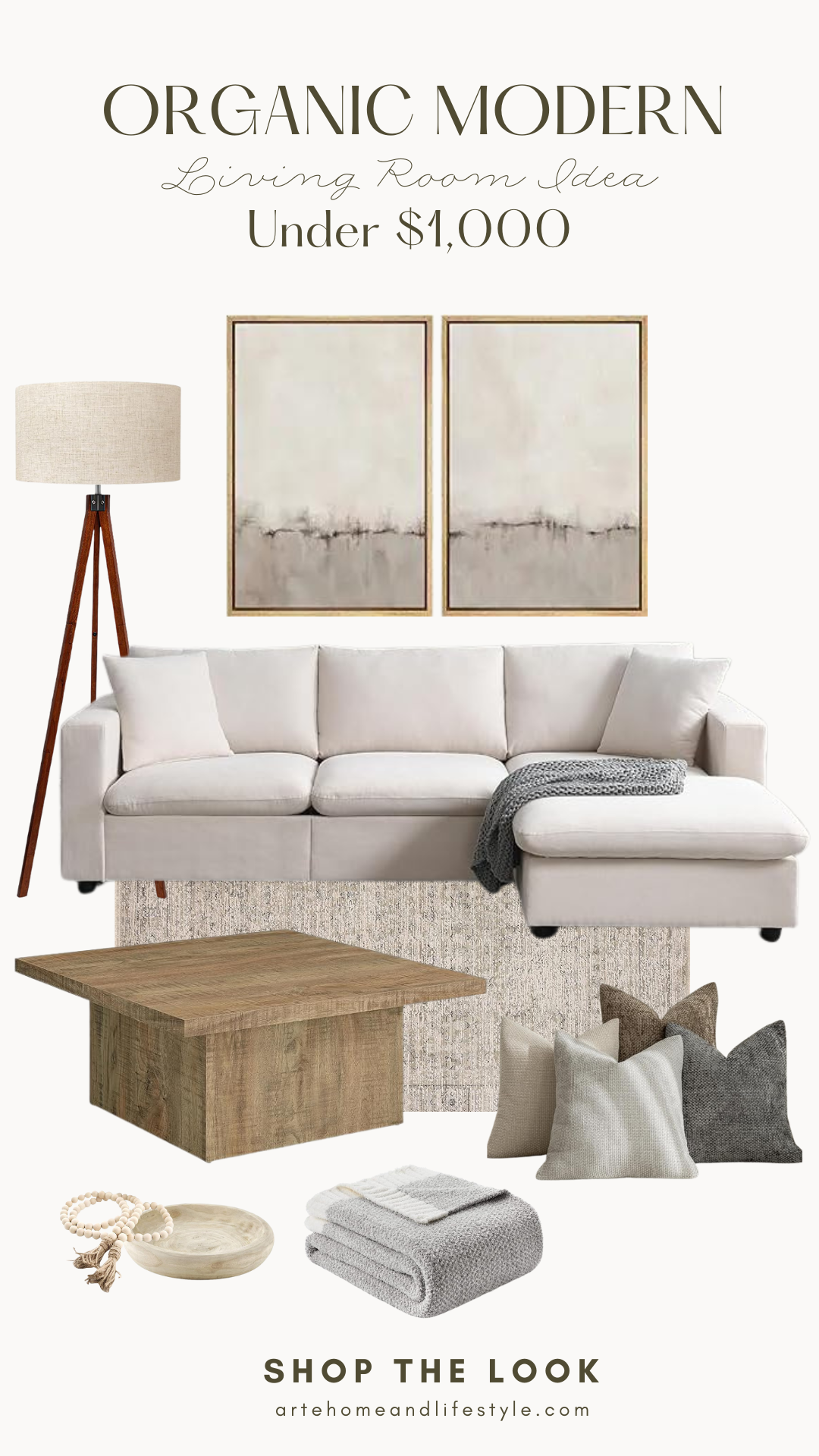 Organic Modern Living Room Idea for Under $1000